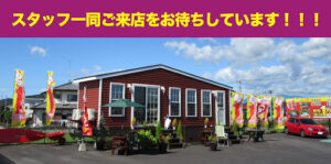 レッカー,受け入れ,移動,宇都宮市,宇都宮